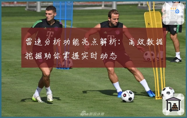 雷速分析功能亮点解析：高效数据挖掘助你掌握实时动态