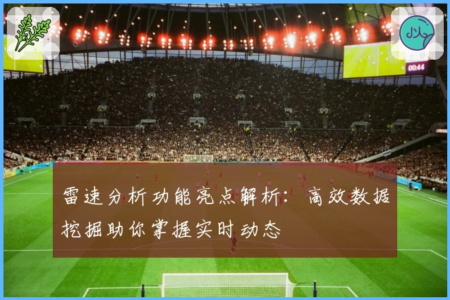雷速分析功能亮点解析：高效数据挖掘助你掌握实时动态