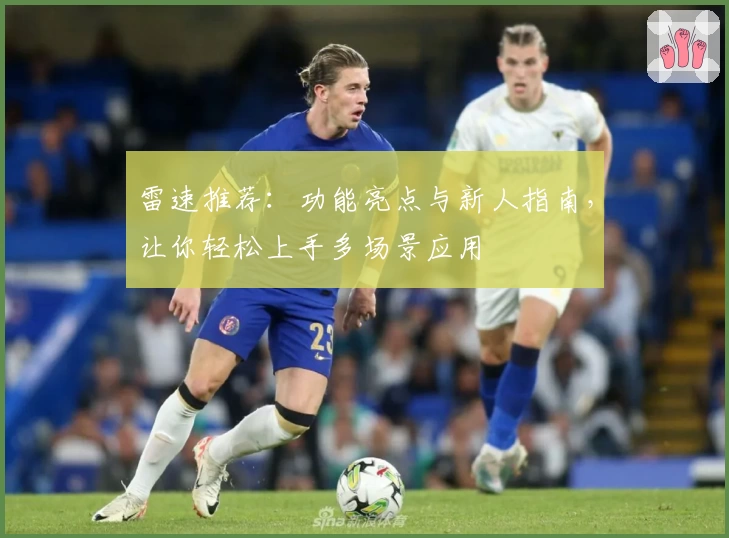 雷速推荐：功能亮点与新人指南，让你轻松上手多场景应用